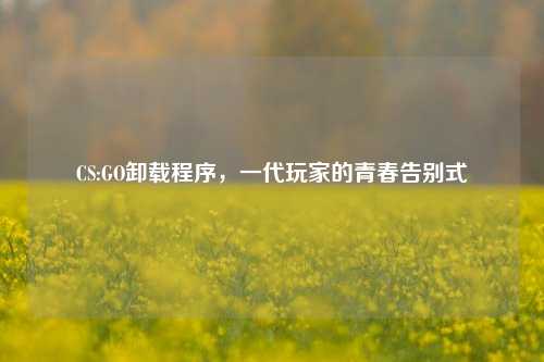 CS:GO卸载程序，一代玩家的青春告别式
