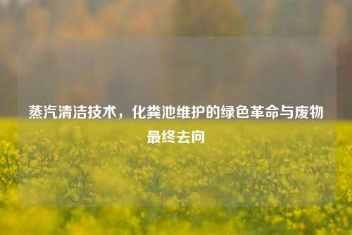 蒸汽清洁技术，化粪池维护的绿色革命与废物最终去向