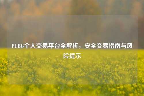 PUBG个人交易平台全解析，安全交易指南与风险提示