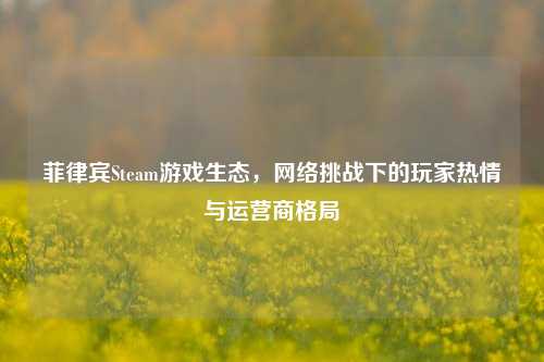 菲律宾Steam游戏生态，     挑战下的玩家热情与运营商格局