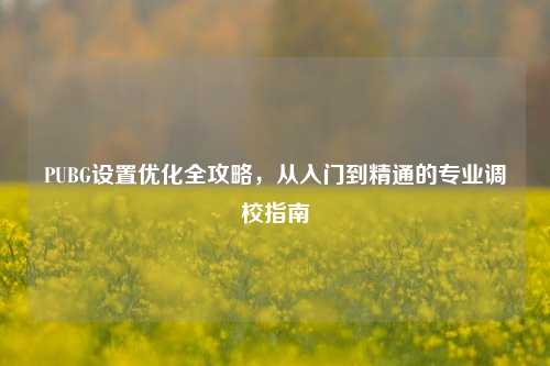 PUBG设置优化全攻略，从入门到精通的专业调校指南