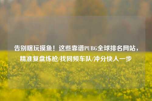 告别瞎玩摸鱼！这些靠谱PUBG全球排名网站，精准复盘练枪/找同频车队/冲分快人一步