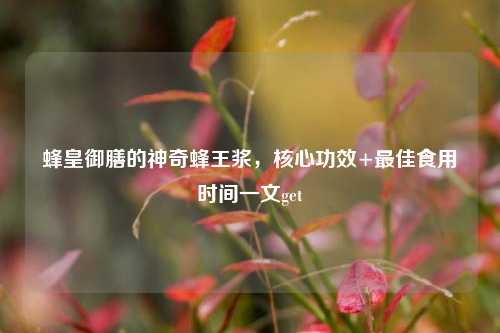 蜂皇御膳的神奇蜂王浆，核心功效+更佳食用时间一文get