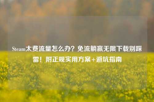 Steam太费流量怎么办？免流躺赢无限下载别踩雷！附正规实用方案+避坑指南