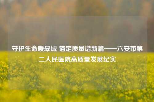 守护生命暖皋城 锚定质量谱新篇——六安市第二人民医院高质量发展纪实