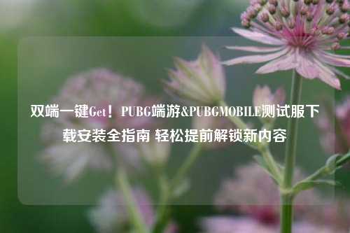 双端一键Get！PUBG端游&PUBGMOBILE测试服下载安装全指南 轻松提前解锁新内容