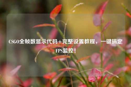CSGO全帧数显示代码+完整设置教程，一键搞定FPS监控！