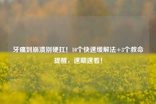 牙痛到崩溃别硬扛！10个快速缓解法+3个救命提醒，速藏速看！