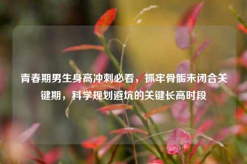 青春期男生身高冲刺必看，抓牢骨骺未闭合关键期，科学规划避坑的关键长高时段
