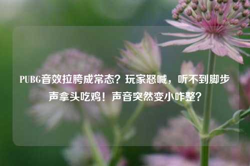 PUBG音效拉胯成常态？玩家怒喊，听不到脚步声拿头吃鸡！声音突然变小咋整？