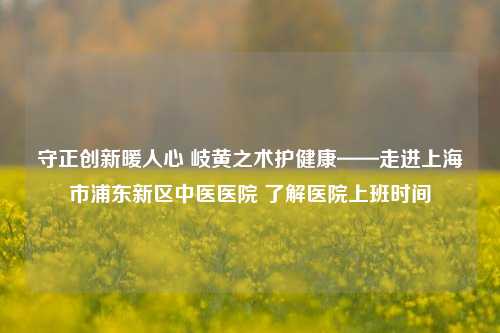 守正创新暖人心 岐黄之术护健康——走进上海市浦东新区中医医院 了解医院上班时间
