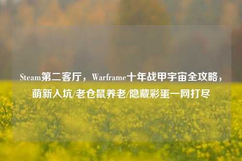 Steam第二客厅，Warframe十年战甲宇宙全攻略，萌新入坑/老仓鼠养老/隐藏彩蛋一网打尽
