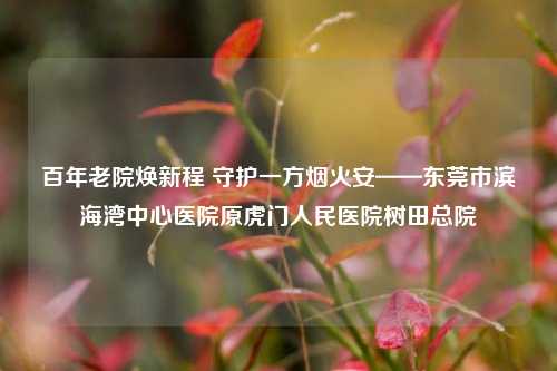 百年老院焕新程 守护一方烟火安——东莞市滨海湾中心医院原虎门人民医院树田总院