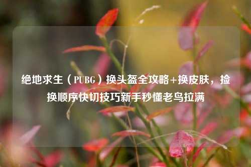 绝地求生（PUBG）换头盔全攻略+换皮肤，捡换顺序快切技巧新手秒懂老鸟拉满
