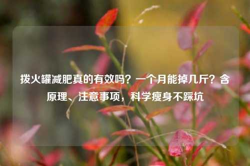 拨火罐减肥真的有效吗？一个月能掉几斤？含原理、注意事项，科学瘦身不踩坑