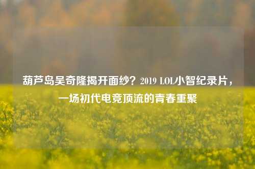 葫芦岛吴奇隆揭开面纱？2019 LOL小智纪录片，一场初代电竞顶流的青春重聚