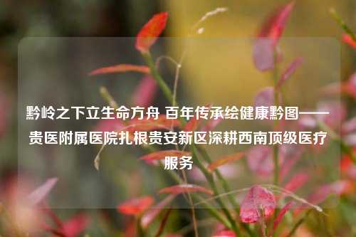 黔岭之下立生命方舟 百年传承绘健康黔图——贵医附属医院扎根贵安新区深耕西南顶级医疗服务