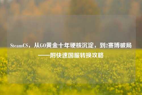 SteamCS，从GO黄金十年硬核沉淀，到2赛博破局——附快速国服转换攻略