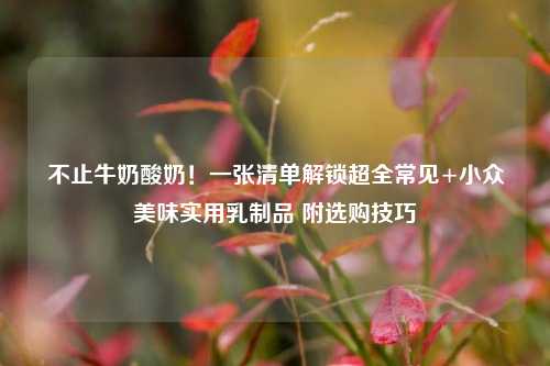 不止牛奶酸奶！一张清单解锁超全常见+小众美味实用乳制品 附选购技巧