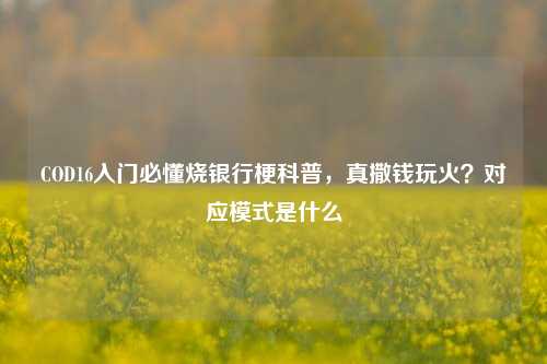 COD16入门必懂烧银行梗科普，真撒钱玩火？对应模式是什么