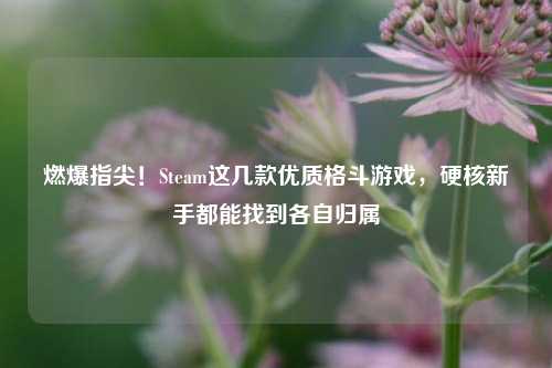燃爆指尖!Steam这几款优质格斗游戏,硬核新手都能找到各自归属