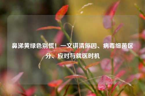 鼻涕黄绿色别慌！一文讲清原因、病毒细菌区分、应对与就医时机