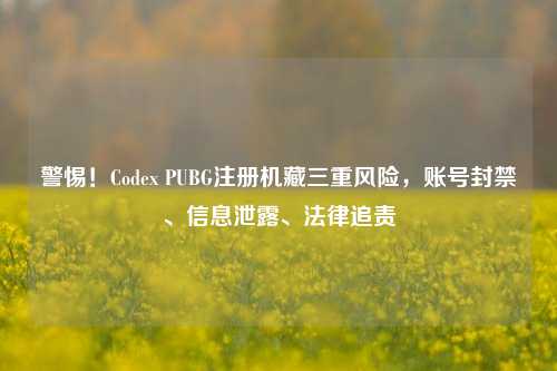 警惕！Codex PUBG注册机藏三重风险，账号封禁、信息泄露、法律追责