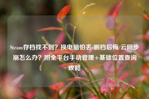 Steam存档找不到？换电脑怕丢/删档后悔/云同步崩怎么办？附全平台手动管理+基础位置查询攻略