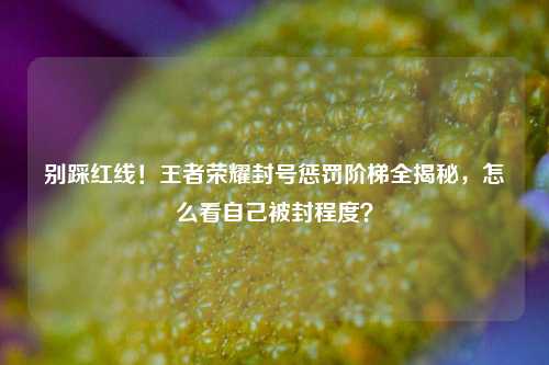 别踩红线！王者荣耀封号惩罚阶梯全揭秘，怎么看自己被封程度？