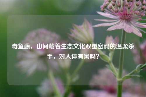 毒鱼藤，山间藏着生态文化双重密码的温柔杀手，对人体有害吗？