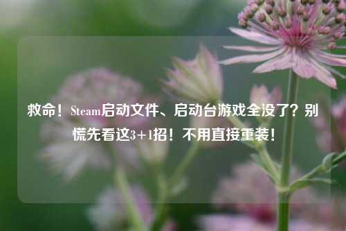 救命！Steam启动文件、启动台游戏全没了？别慌先看这3+1招！不用直接重装！