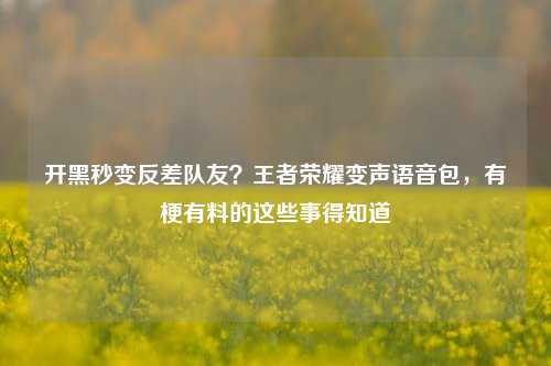 开黑秒变反差队友？王者荣耀变声语音包，有梗有料的这些事得知道