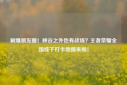刷爆朋友圈！峡谷之外也有战场？王者荣耀全国线下打卡地图来啦！