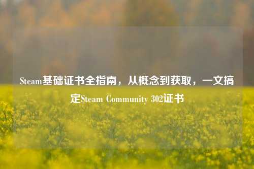 Steam基础证书全指南，从概念到获取，一文搞定Steam Community 302证书