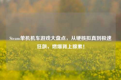 Steam单机机车游戏大盘点，从硬核拟真到极速狂飙，燃爆肾上腺素！