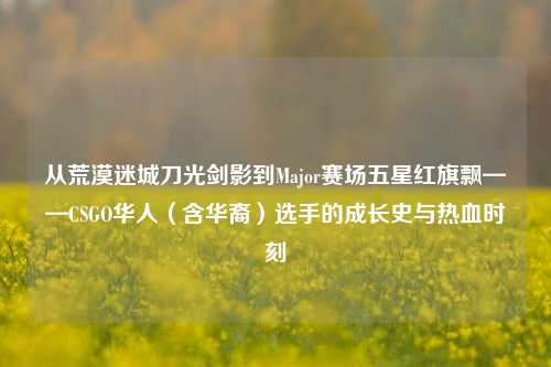 从荒漠迷城刀光剑影到Major赛场五星红旗飘——CSGO华人（含华裔）选手的成长史与热血时刻