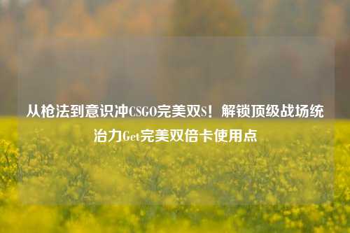 从枪法到意识冲CSGO完美双S！解锁顶级战场统治力Get完美双倍卡使用点