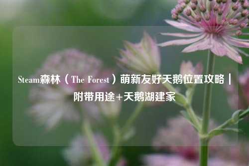 Steam森林（The Forest）萌新友好天鹅位置攻略｜附带用途+天鹅湖建家