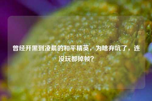 曾经开黑到凌晨的和平精英，为啥弃坑了，连没玩都掉帧？