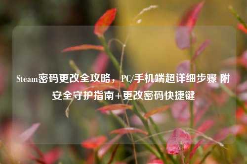 Steam密码更改全攻略，PC/手机端超详细步骤 附安全守护指南+更改密码快捷键