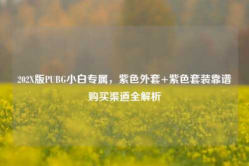 202X版PUBG小白专属，紫色外套+紫色套装靠谱购买渠道全解析