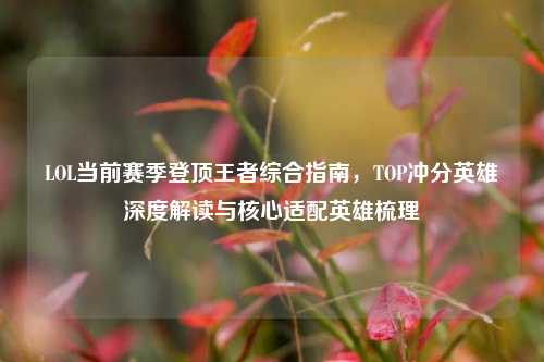 LOL当前赛季登顶王者综合指南，TOP冲分英雄深度解读与核心适配英雄梳理