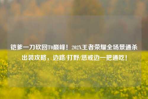 铠爹一刀砍回T0巅峰！202X王者荣耀全场景通杀出装攻略，边路/打野/惩戒边一把通吃！