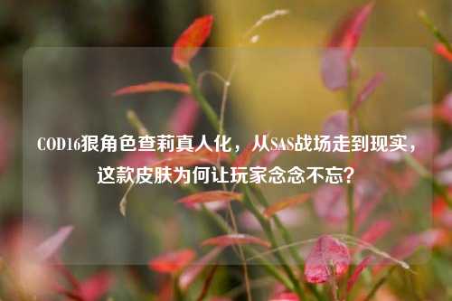 COD16狠角色查莉真人化，从SAS战场走到现实，这款皮肤为何让玩家念念不忘？
