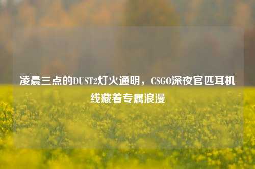 凌晨三点的DUST2灯火通明，CSGO深夜官匹耳机线藏着专属浪漫
