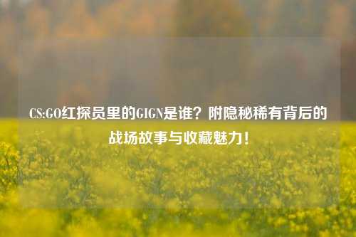 CS:GO红探员里的GIGN是谁？附隐秘稀有背后的战场故事与收藏魅力！