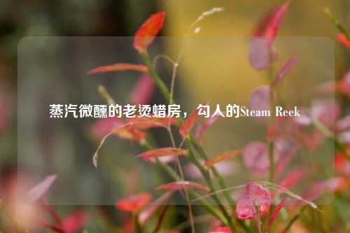 蒸汽微醺的老烫蜡房，勾人的Steam Reek