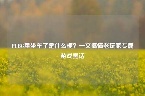PUBG里坐车了是什么梗？一文搞懂老玩家专属游戏黑话