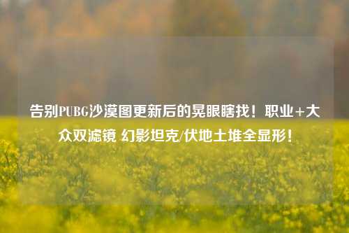 告别PUBG沙漠图更新后的晃眼瞎找！职业+大众双滤镜 幻影坦克/伏地土堆全显形！