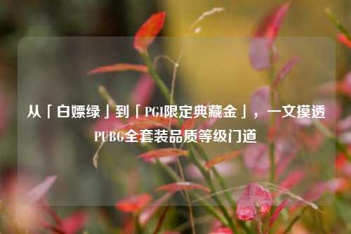 从「白嫖绿」到「PGI限定典藏金」，一文摸透PUBG     装品质等级门道